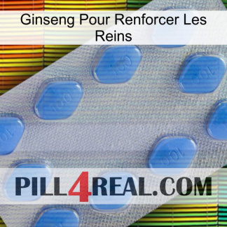 Ginseng For Reinforcing Kidney 21